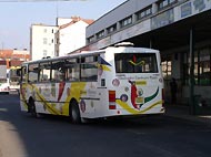 Olympia bus na plzeskm CANu